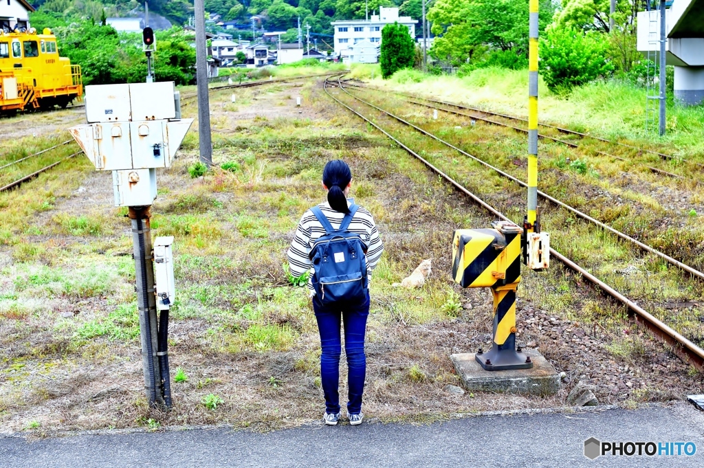 駅猫と