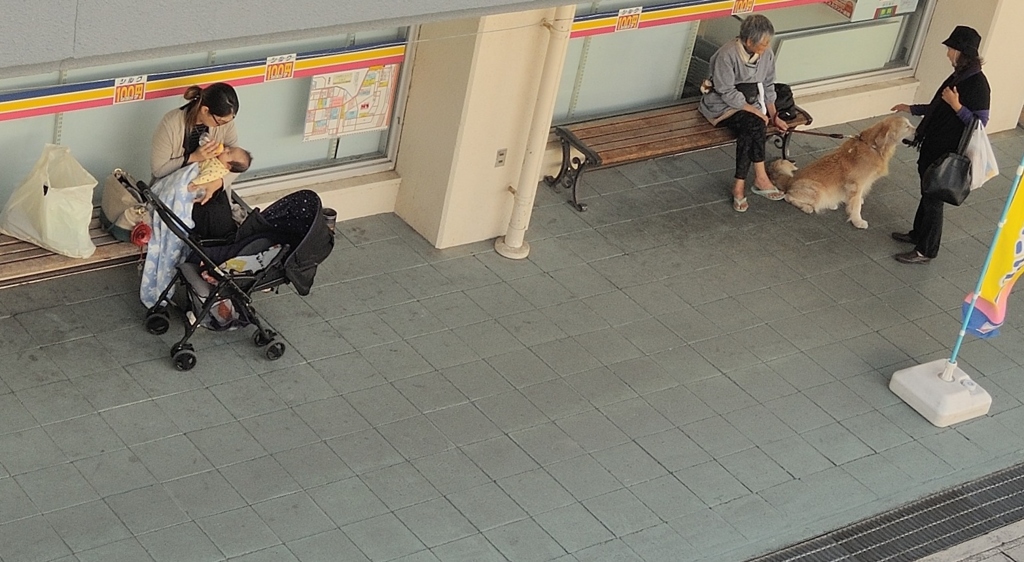 上からの