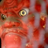 金色の眼