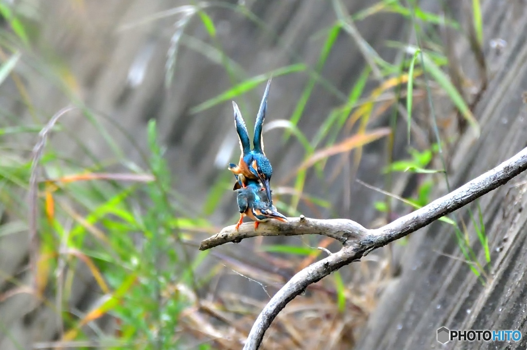 ⑤営みの真っ最中