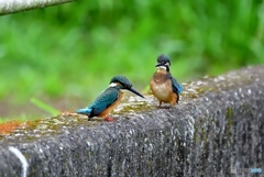 合成DSC_1474
