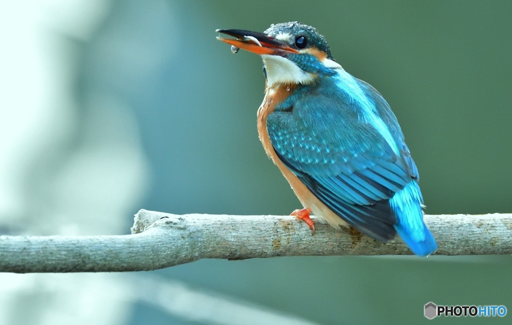 軽食コーナー(;^ω^)