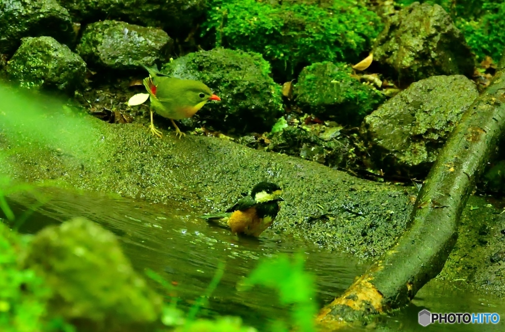 水浴(;^ω^)