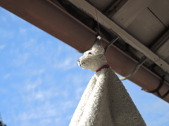 軒の