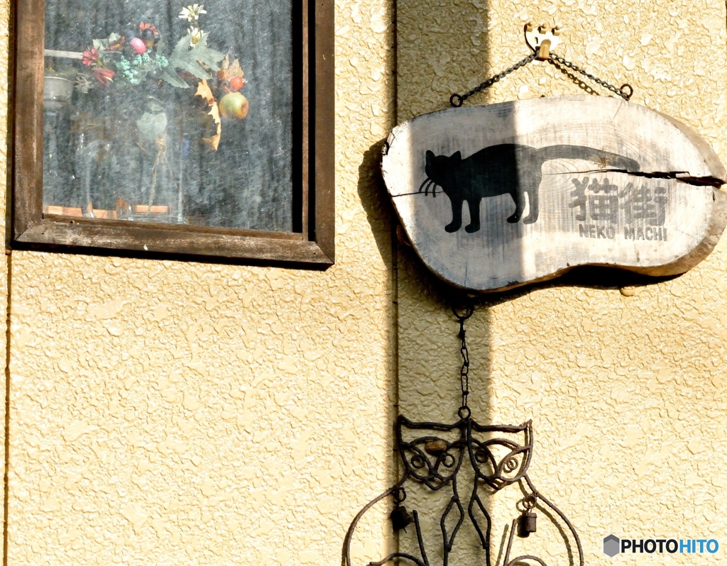 朝日の当たる壁