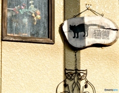 朝日の当たる壁