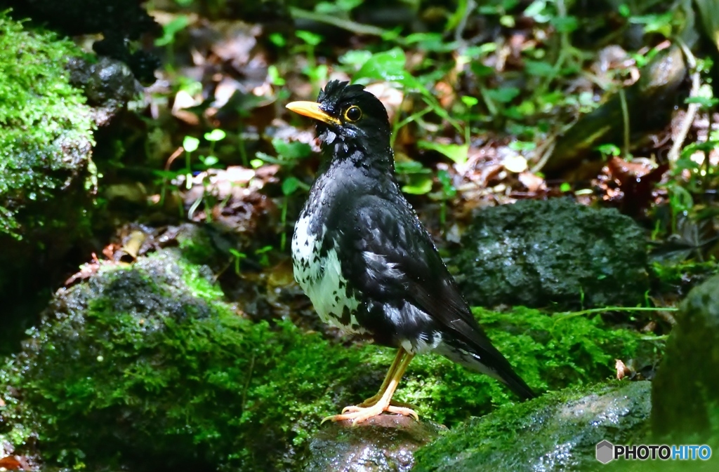 昨日、お山で遊んでくれた～♡
