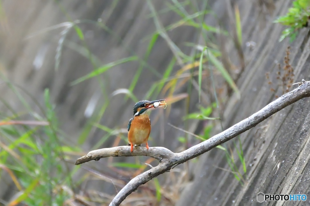 ⑦あぁ！腹減った。