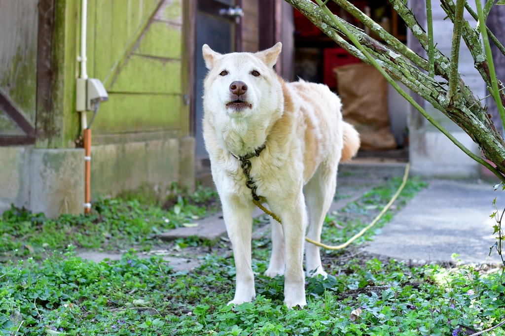 春の日差しを受けて