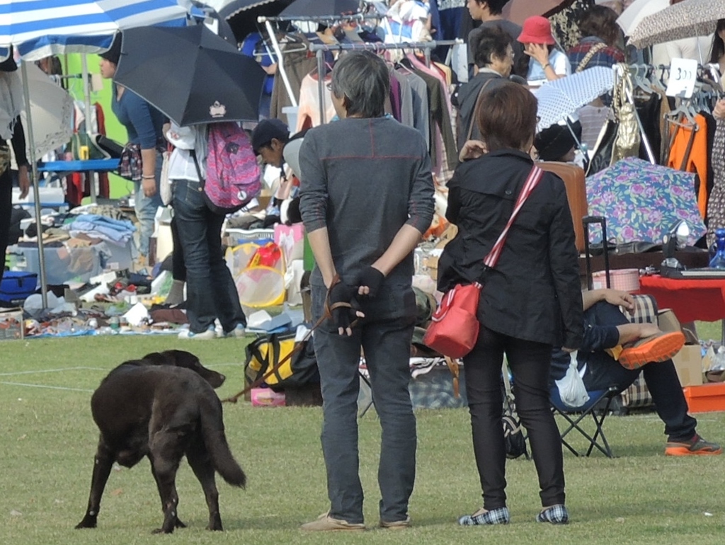 お散歩中