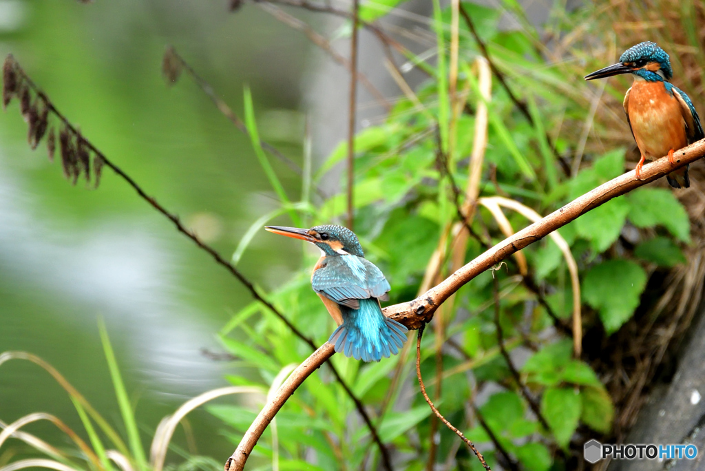 お似合いですよ～♡