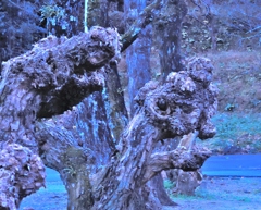 木獣たちのいたところ