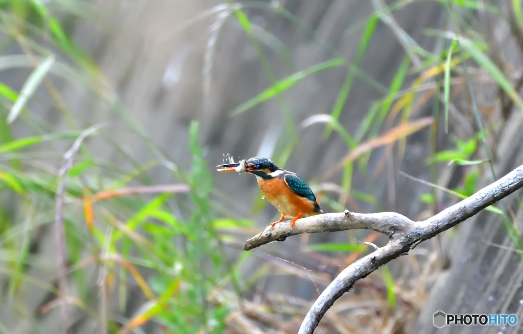 ①腹ごしらえして(;^ω^)