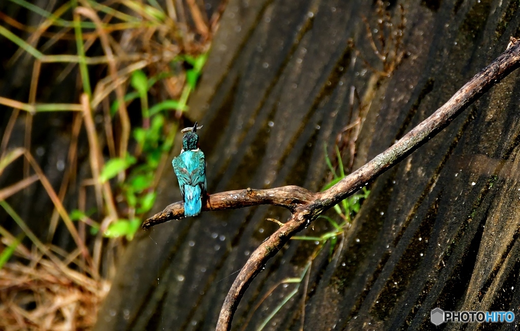 梅雨の晴れ間に①