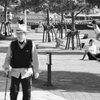 午後の公園