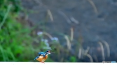魂の叫び(;^ω^)
