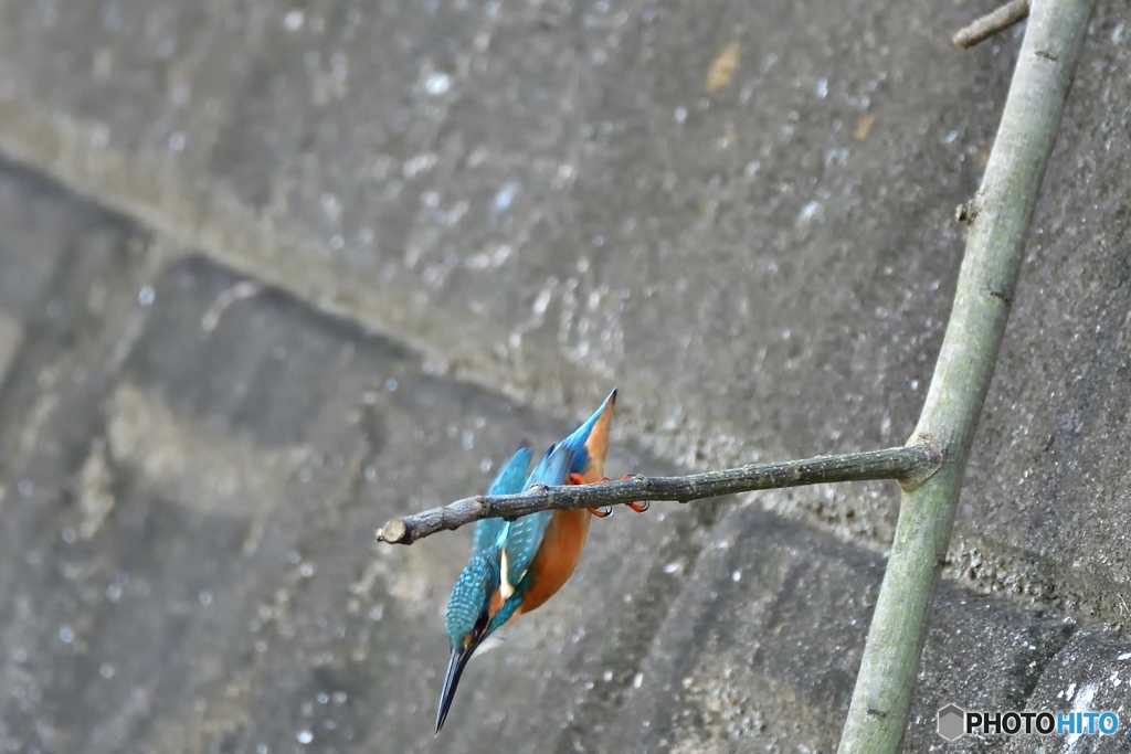 飛び出し狙い②