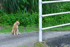 合成出来ず①