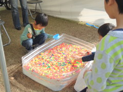 どこに、しようかな？