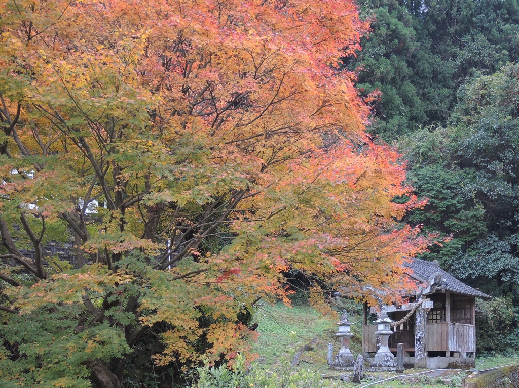 山里に