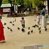 鳩ポッポ②