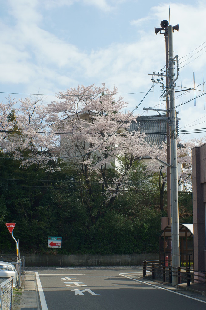 DSC00373