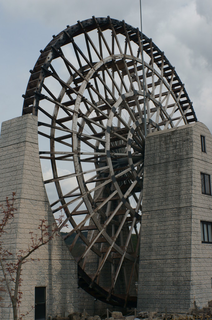 DSC00521
