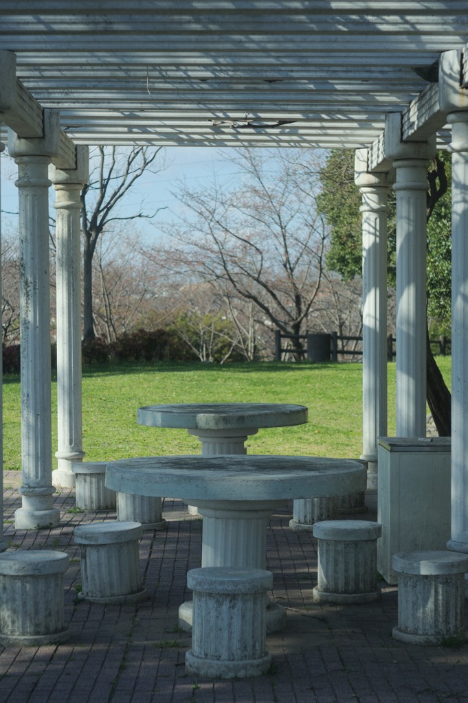 DSC00307