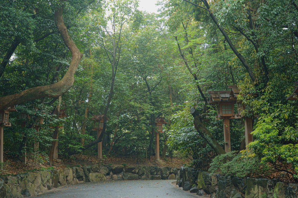 DSC00503