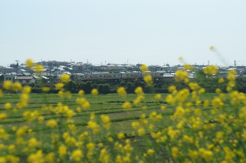 DSC00579