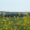 DSC00579