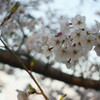 DSC00353