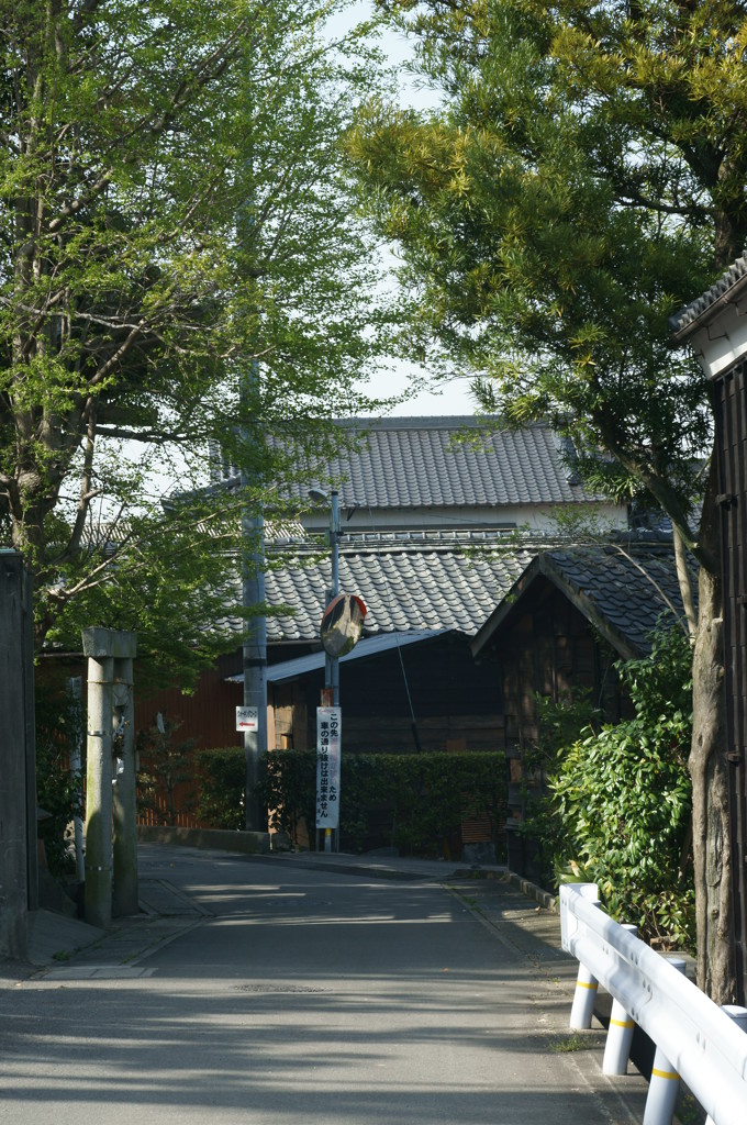 DSC00594