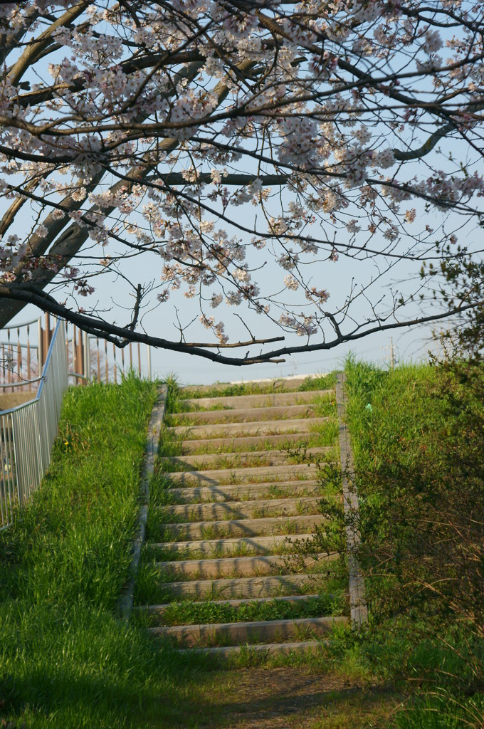 DSC00342