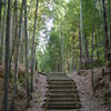竹林