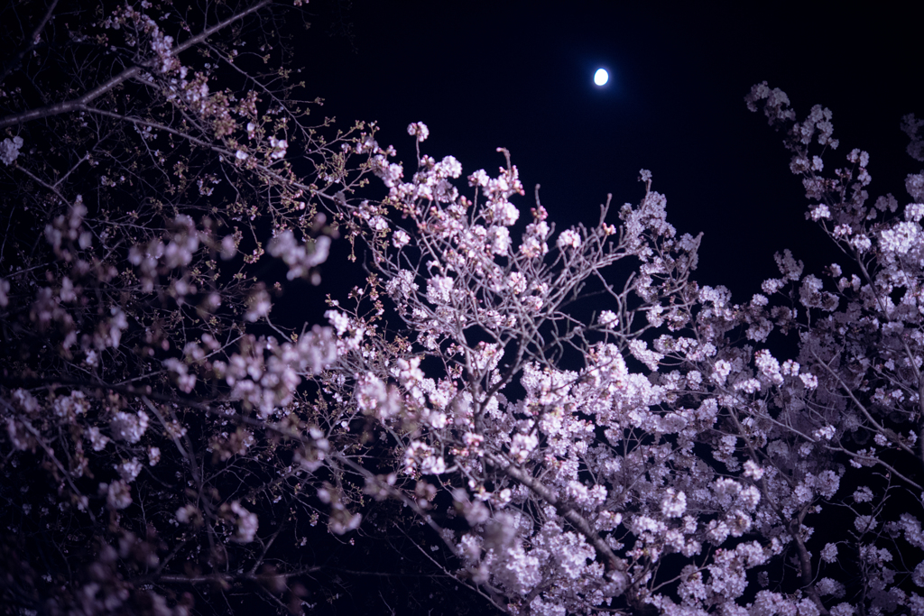 RSW_4660
