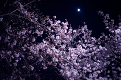 RSW_4660