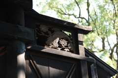 神社の意匠