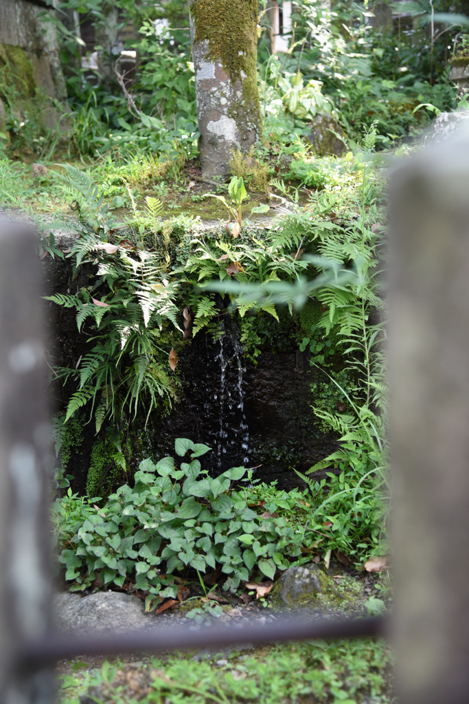小さな自然