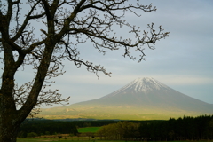 夕暮れの富士