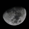 _DSC6383-2