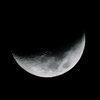 _DSC5904-2