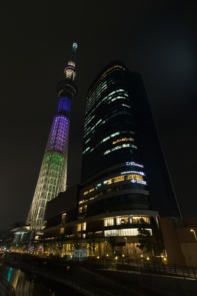 東京スカイツリー　明花シリーズ　③