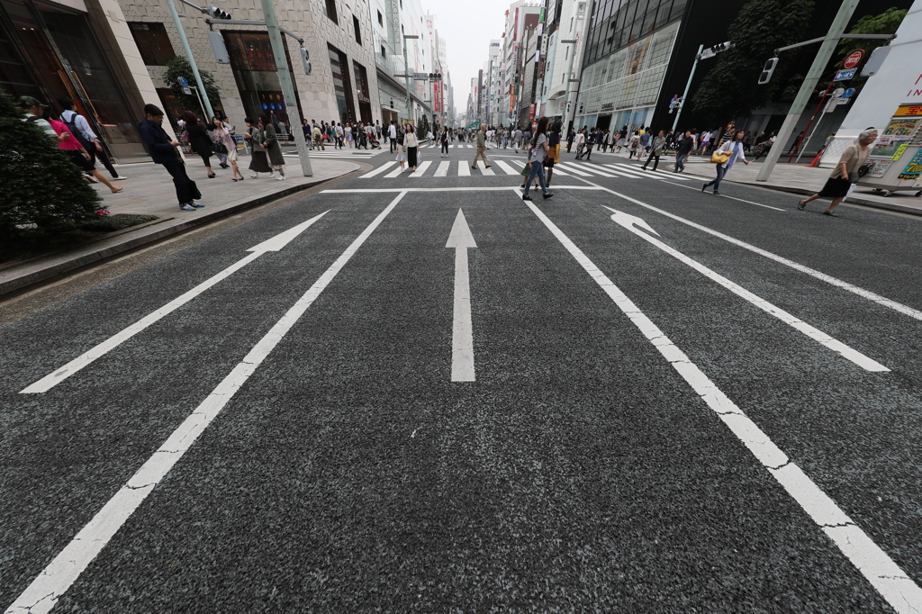 進むべき道
