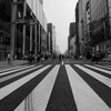 ゼブラトーン