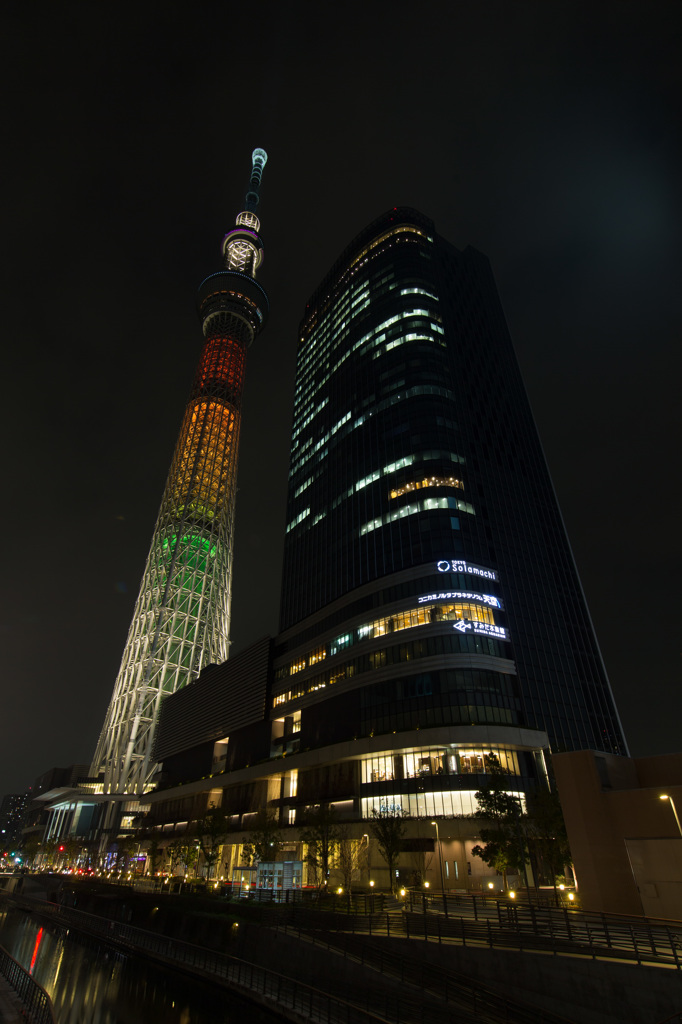 東京スカイツリー　明花シリーズ　①