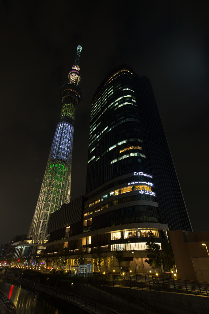 東京スカイツリー　明花シリーズ　②