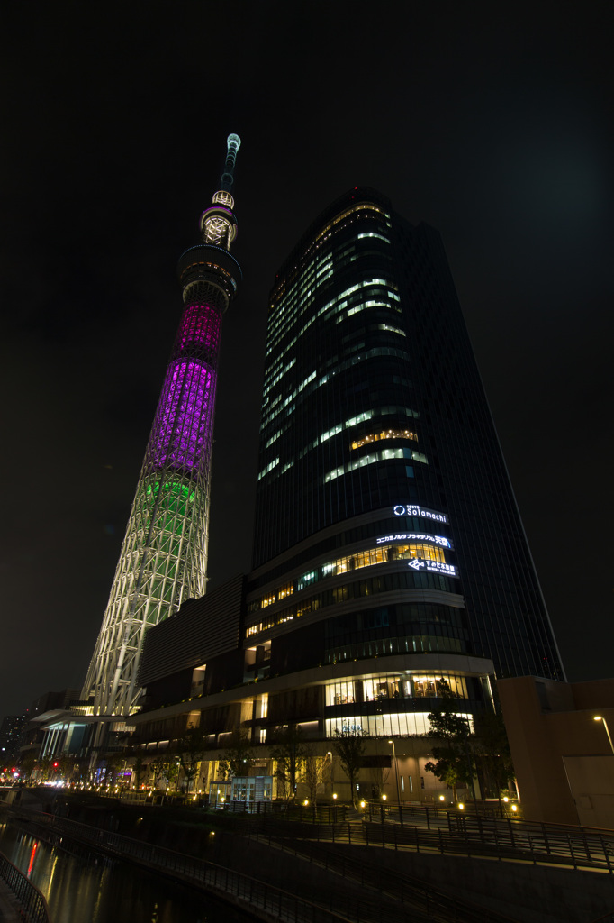 東京スカイツリー　明花シリーズ　⑤