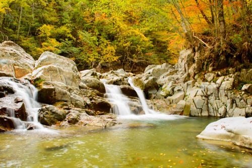 離れて故郷の良さを知る