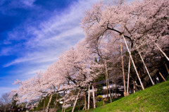 やっと青空です(^-^)